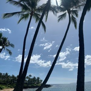 Meet your Posher, Mallory